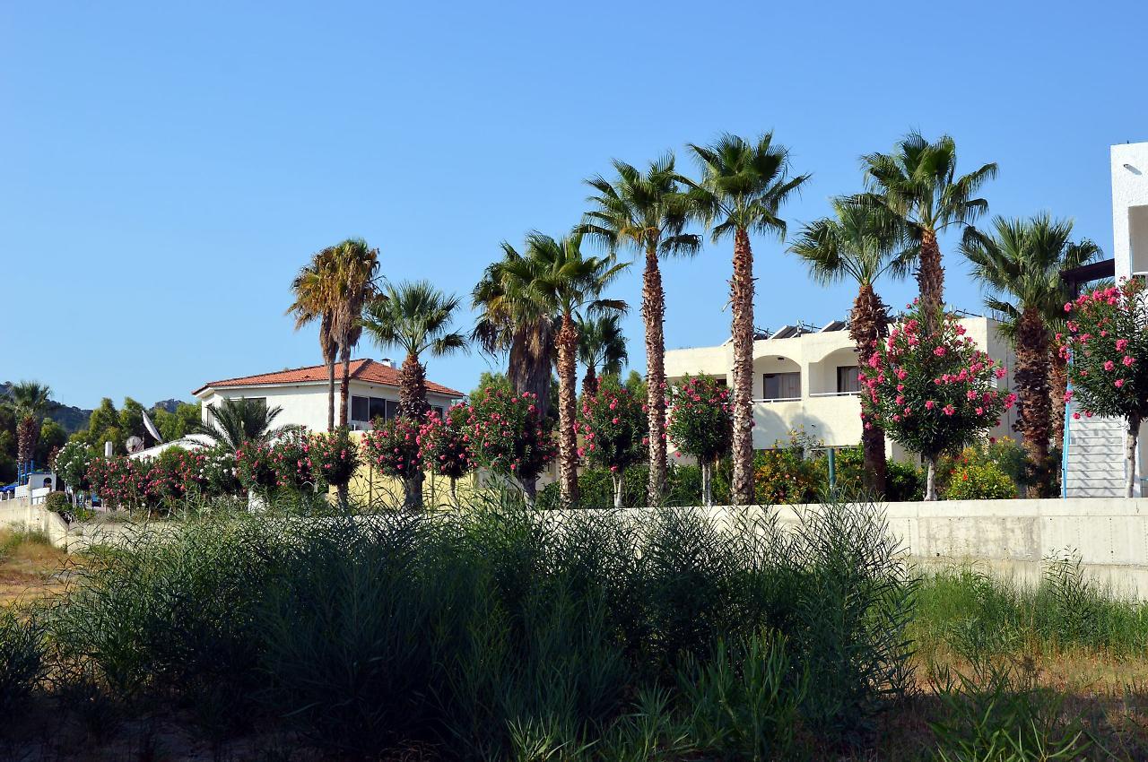 פליראקי Muses Hotel מראה חיצוני תמונה